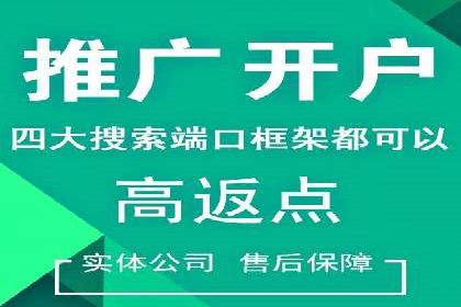 知名SEM服务公司成功案例分享